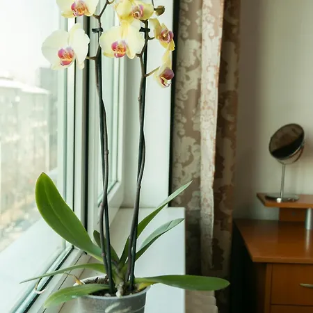 Apartment Lavieestbelle-ndk